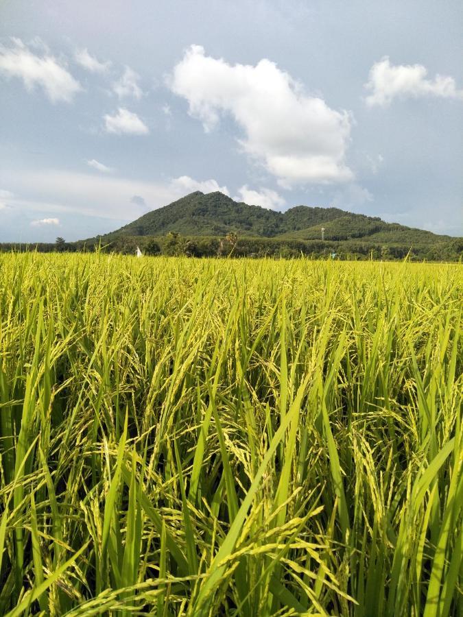 Baan Gebsup บ้านเก็บทรัพย์ Ko Yao Noi Dış mekan fotoğraf